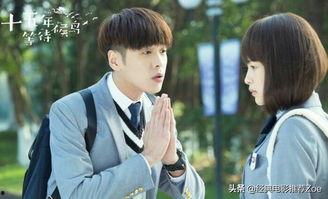 国产爱情电视剧,国产爱情剧的浪漫之旅