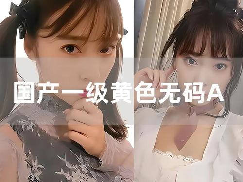 成人三级国产,成人三级教育新篇章